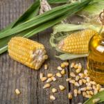 Кукурузное масло — жидкое «золото» для здоровья и красоты